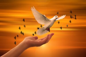 Concept of having faith in God. Dove flying over the human hand on sunset background.