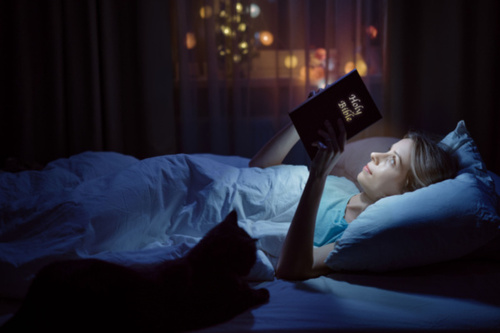 A woman reads the Bible in bed while her cat sits beside her.