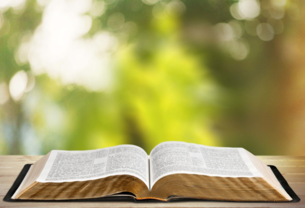 Bibles That Are Easy To Read Contemporary English Version 