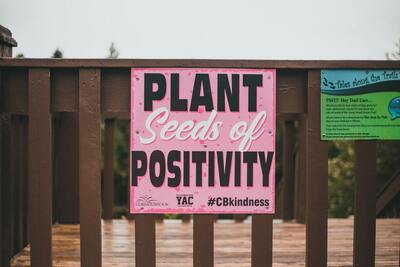 A wooden fence decorated with the words "Plant seeds of positivity."