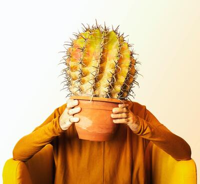 A person wearing long yellow sleeves posing with a green cactus plant in front of their face.