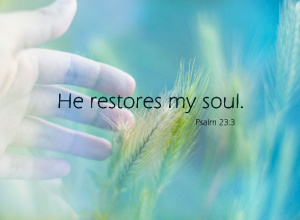 The scene depicts a person touching a plant on a nature background, representing the quote "He restores my soul" from Psalm 23:3. Concept, main points of Psalm 23.