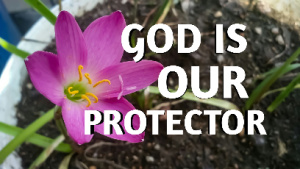 The Bible speaks of God as our protector, depicted with a pink lily flower on a flower pot background.